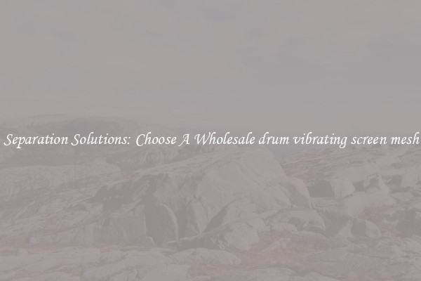 Separation Solutions: Choose A Wholesale drum vibrating screen mesh