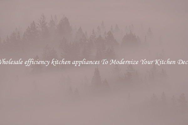 Wholesale efficiency kitchen appliances To Modernize Your Kitchen Decor