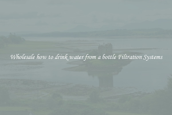 Wholesale how to drink water from a bottle Filtration Systems