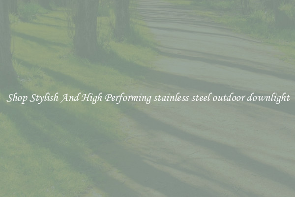 Shop Stylish And High Performing stainless steel outdoor downlight