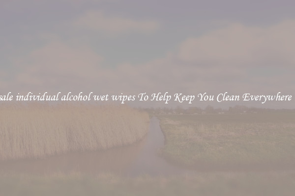 Wholesale individual alcohol wet wipes To Help Keep You Clean Everywhere You Go