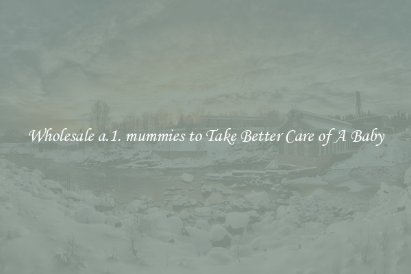 Wholesale a.1. mummies to Take Better Care of A Baby