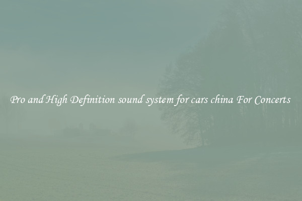 Pro and High Definition sound system for cars china For Concerts 