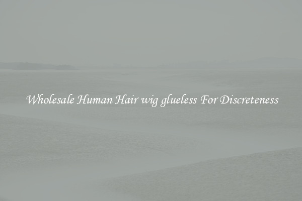 Wholesale Human Hair wig glueless For Discreteness