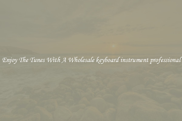 Enjoy The Tunes With A Wholesale keyboard instrument professional