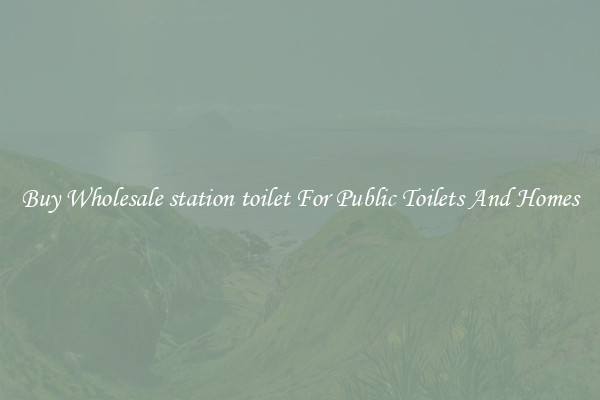 Buy Wholesale station toilet For Public Toilets And Homes