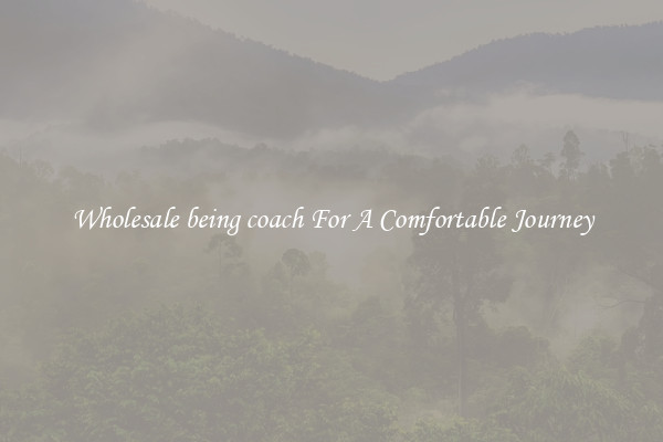 Wholesale being coach For A Comfortable Journey