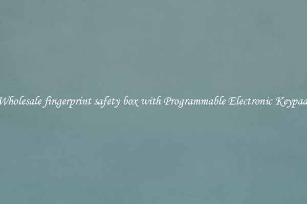 Wholesale fingerprint safety box with Programmable Electronic Keypad 