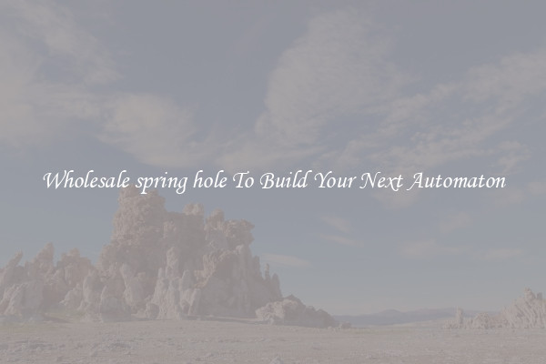 Wholesale spring hole To Build Your Next Automaton