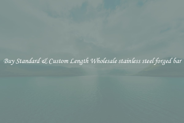 Buy Standard & Custom Length Wholesale stainless steel forged bar