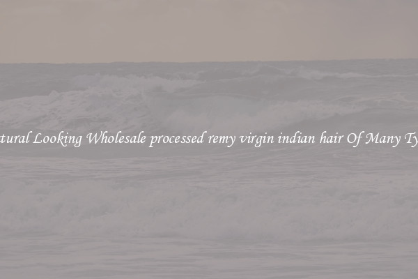 Natural Looking Wholesale processed remy virgin indian hair Of Many Types
