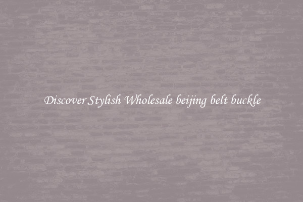 Discover Stylish Wholesale beijing belt buckle