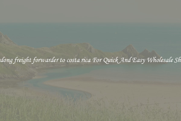 guangdong freight forwarder to costa rica For Quick And Easy Wholesale Shipping