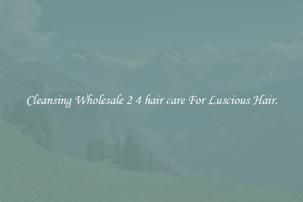 Cleansing Wholesale 2 4 hair care For Luscious Hair.