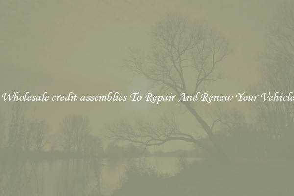 Wholesale credit assemblies To Repair And Renew Your Vehicle