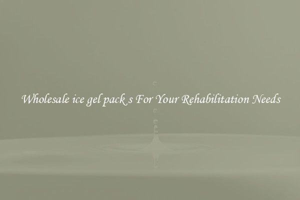 Wholesale ice gel pack s For Your Rehabilitation Needs