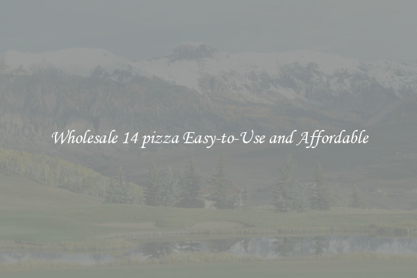 Wholesale 14 pizza Easy-to-Use and Affordable