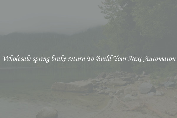 Wholesale spring brake return To Build Your Next Automaton