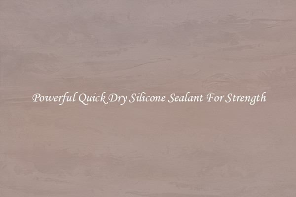 Powerful Quick Dry Silicone Sealant For Strength