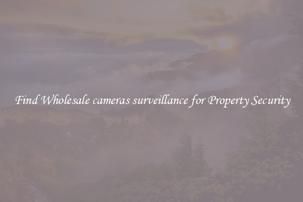 Find Wholesale cameras surveillance for Property Security