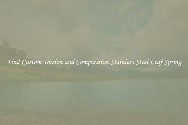 Find Custom Torsion and Compression Stainless Steel Leaf Spring