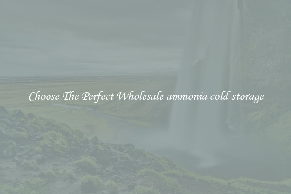 Choose The Perfect Wholesale ammonia cold storage