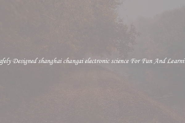 Safely Designed shanghai changai electronic science For Fun And Learning