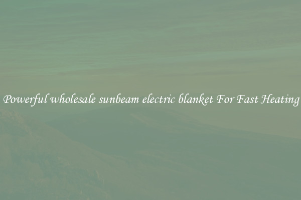Powerful wholesale sunbeam electric blanket For Fast Heating