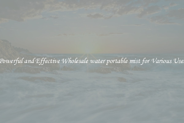 Powerful and Effective Wholesale water portable mist for Various Uses