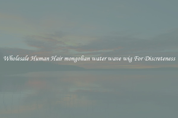 Wholesale Human Hair mongolian water wave wig For Discreteness
