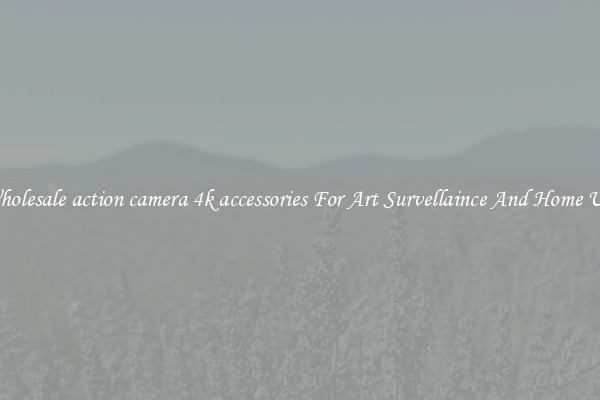 Wholesale action camera 4k accessories For Art Survellaince And Home Use