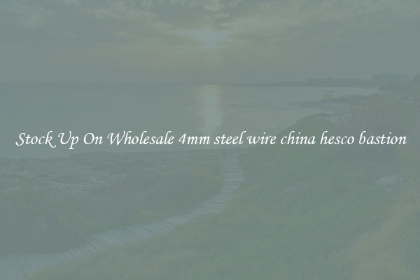 Stock Up On Wholesale 4mm steel wire china hesco bastion
