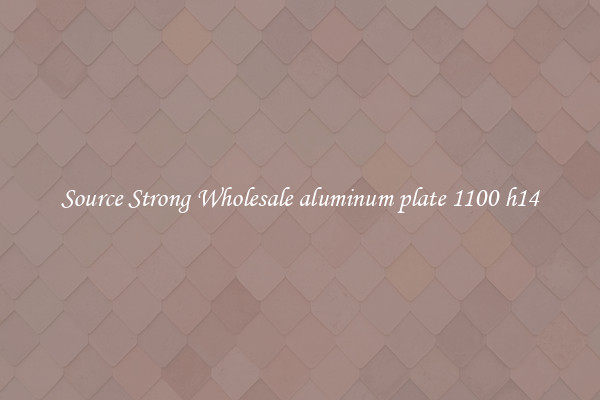 Source Strong Wholesale aluminum plate 1100 h14