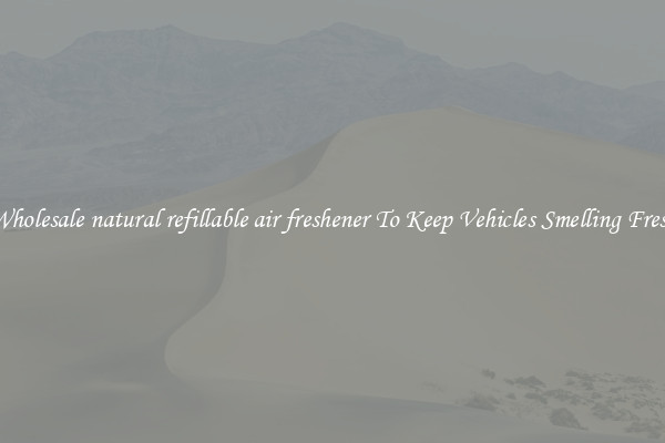 Wholesale natural refillable air freshener To Keep Vehicles Smelling Fresh