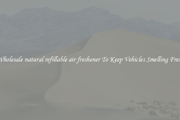 Wholesale natural refillable air freshener To Keep Vehicles Smelling Fresh
